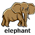 elephant.gif