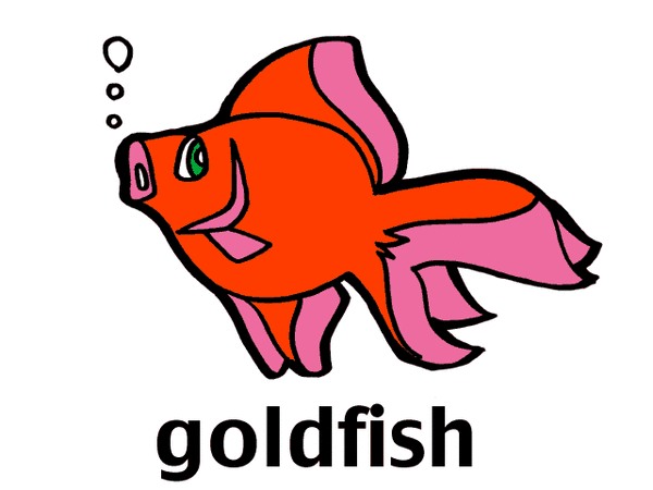 goldfish.gif