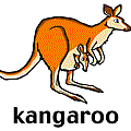 kangaroo.gif