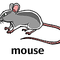 mouse.gif