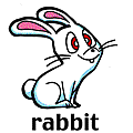 rabbit.gif