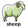 sheep.gif