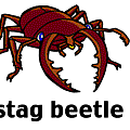 stagbeetle.gif