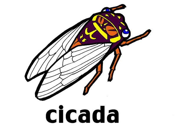 cicada.gif