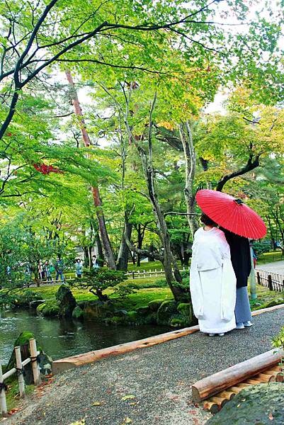 兼六園一角, 日本新人