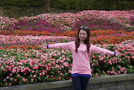 P1040693.JPG P1040693.JPG
