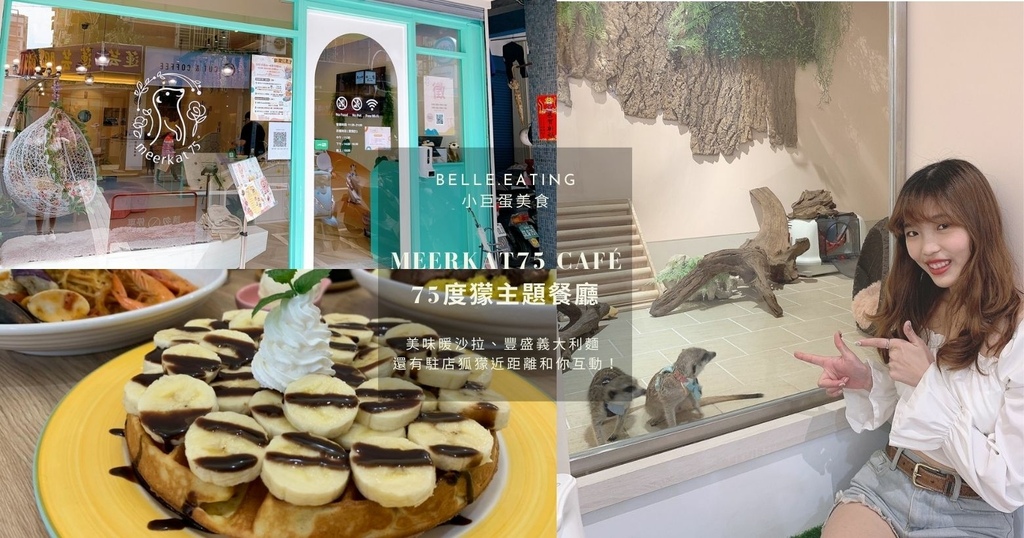 Meerkat75 Café,狐獴互動區,暖沙拉,義大利麵,香蕉巧克力鬆餅,藍莓香蕉奶昔,洋甘菊柚香綠茶,台北,松山區,特殊寵物,可愛動物陪你吃,Meerkat75 Café  75度獴,狐獴,動物餐廳,寵物餐