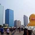 rubberduck-kaohsiung (5).jpg