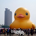 rubberduck-kaohsiung (6).jpg