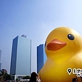 rubberduck-kaohsiung (9).jpg