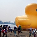 rubberduck-kaohsiung (14).jpg