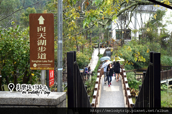 Miaoli_Siiangtian Lake Wetland (5)