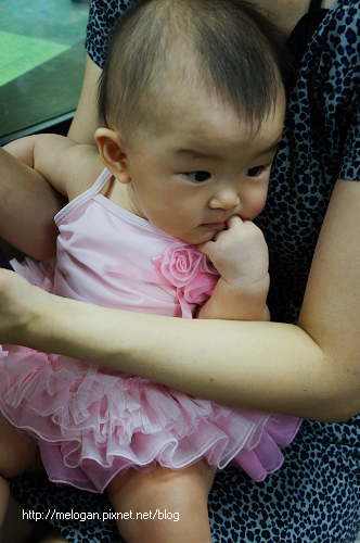 DSC08824 DSC08824