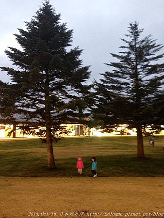 IMG_3877.jpg IMG_3877.jpg