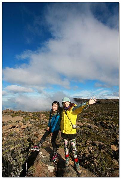 mt wellington