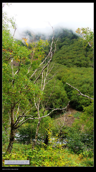 长白山风景