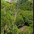 长白山风景