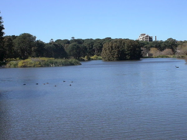 學校附近的公園