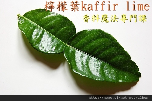 kaffir lime.jpg