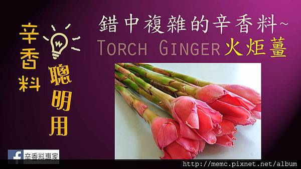 香料聰明用-火炬薑 香料聰明用-火炬薑