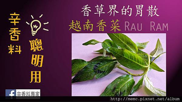 香料聰明用-越南香菜.jpg