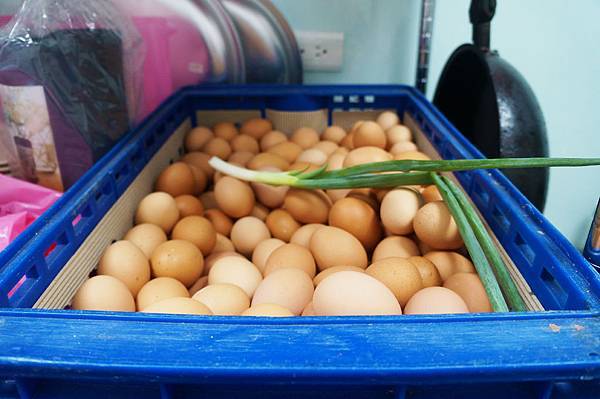 DSC01342-2.jpg DSC01342-2.jpg