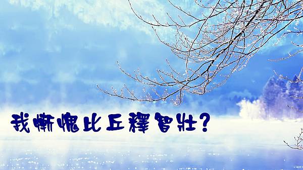 我慚愧比丘釋智壯.jpg 我慚愧比丘釋智壯.jpg