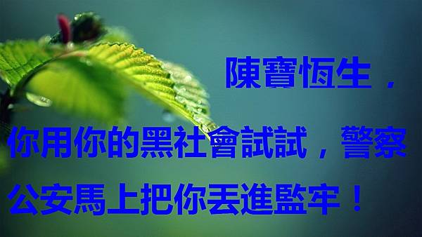 你用你的黑社會試試,警察公安馬上把你丟進監牢!.jpg 你用你的黑社會試試,警察公安馬上把你丟進監牢!.jpg