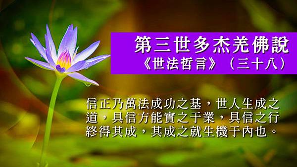 第三世多杰羌佛說《世法哲言》(三十八).jpg 第三世多杰羌佛說《世法哲言》(三十八).jpg