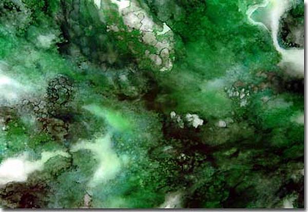 Fei-Cui-Jade-翡翠玉.jpg Fei-Cui-Jade-翡翠玉.jpg