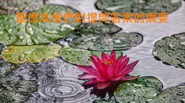 聖德高僧們對提問答案的綱要.jpg