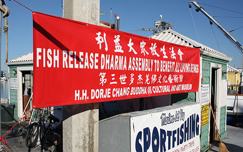 “佛定放生日”放生活動通知10.29.2018.jpg “佛定放生日”放生活動通知10.29.2018.jpg