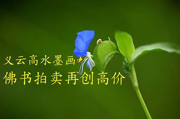 義雲高水墨畫‧佛書拍賣再創高價-1.jpg 義雲高水墨畫‧佛書拍賣再創高價-1.jpg