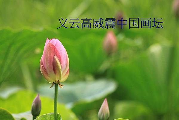 義雲高拍賣以6495萬天價成交創下在世畫家最高紀錄威震中國畫壇-1...jpg 義雲高拍賣以6495萬天價成交創下在世畫家最高紀錄威震中國畫壇-1...jpg