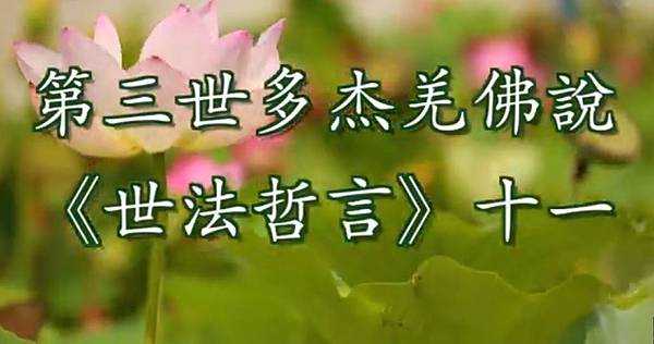 第三世多杰羌佛說 《世法哲言》十一.JPG 第三世多杰羌佛說 《世法哲言》十一.JPG