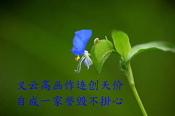 義雲高畫作連創天價 自成一家譽毀不掛心-1.jpg 義雲高畫作連創天價 自成一家譽毀不掛心-1.jpg