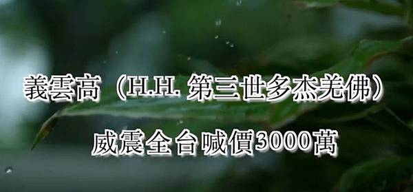 義雲高(H.H. 第三世多杰羌佛)威震全台喊價3000萬.JPG 義雲高(H.H. 第三世多杰羌佛)威震全台喊價3000萬.JPG
