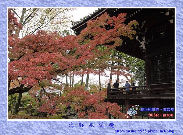 京都。真正極樂寺(真如堂) (1)