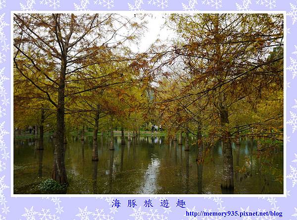 壽豐。鈺展苗圃 (1).jpg 壽豐。鈺展苗圃 (1).jpg