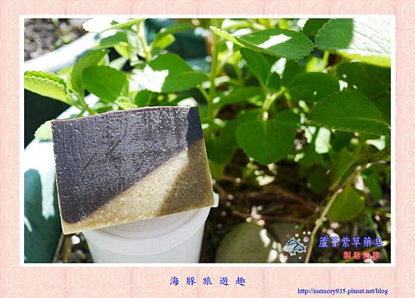 NO.62 蘆薈紫草藥皂 (1).jpg NO.62 蘆薈紫草藥皂 (1).jpg