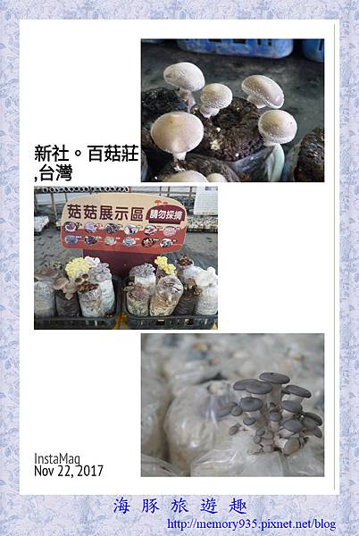 新社。百菇莊 (1).jpg