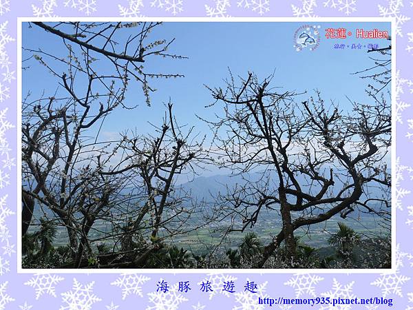 瑞穗。虎頭山梅花 (1).jpg