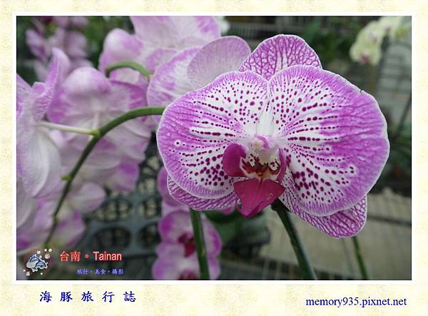 山上。蘭科植物園 (1).jpg