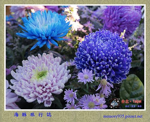 2019士林官邸。菊展 (19).jpg