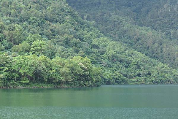 9Y2M。中秋節回花蓮