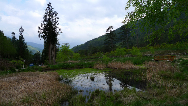 高山植物園區