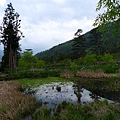 高山植物園區