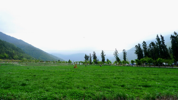 高山植物園區