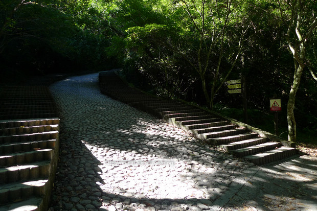 賞鳥步道