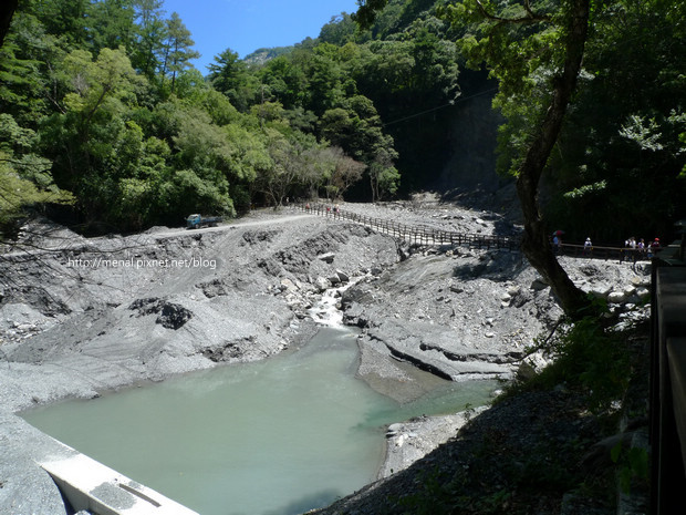 楓林區暫時性步道